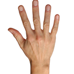 Dorsum of the Hand